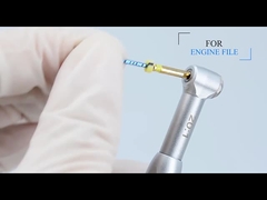20:1 Endo Motor Dental Contra Angle pneumatico Handpiece di 64:1/per il trattamento Endodontic del principale canale