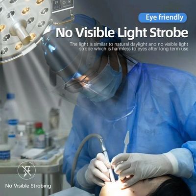 Lampada dentaria veterinaria della sedia dell'ospedale, luce 28W utilizzata nella sedia dentaria