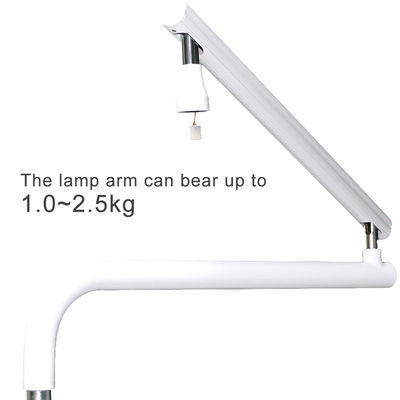 Luci chirurgiche dentali senza ombre multiuso rimovibili con 8 lampadine