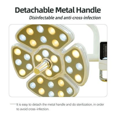 Lampada dentaria di CA 15V-24V LED, luci operatorie dentarie multifunzionali del LED