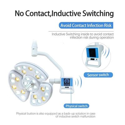 Lampada dentaria mobile 30W della luce della sedia del LED per il veterinario dell'ospedale