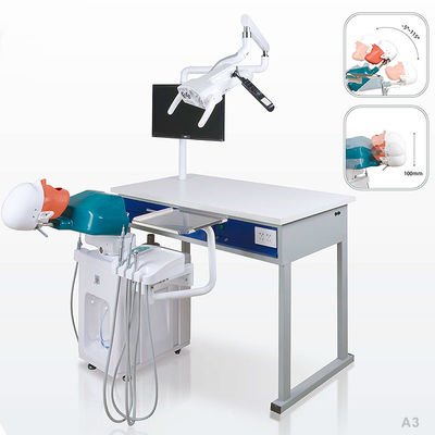 Ultraportable Phantom Head dentario, unità dentaria smontabile della scuola di simulazione