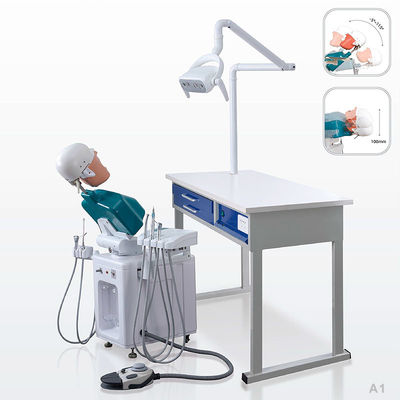 Ultraportable Phantom Head dentario, unità dentaria smontabile della scuola di simulazione