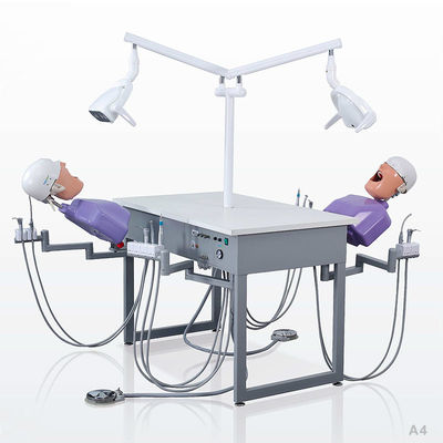 Ultraportable Phantom Head dentario, unità dentaria smontabile della scuola di simulazione
