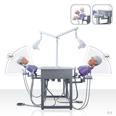 Ultraportable Phantom Head dentario, unità dentaria smontabile della scuola di simulazione