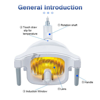 dispositivo dentario AC/DC 12-24V di illuminazione della luce LED della sedia 12W 1 pezzo