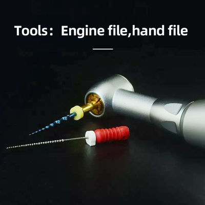 Unità dentaria 2.35mm inossidabile di Handpiece con gli strumenti dell'archivio della mano della gamma di velocità 000rpm
