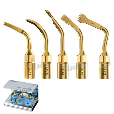 25KHz Piezo Osso Chirurgia Suggerimenti Per Sinus Lifting Estrazione dentale Chirurgia parodontale