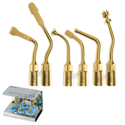 25KHz Piezo Osso Chirurgia Suggerimenti Per Sinus Lifting Estrazione dentale Chirurgia parodontale
