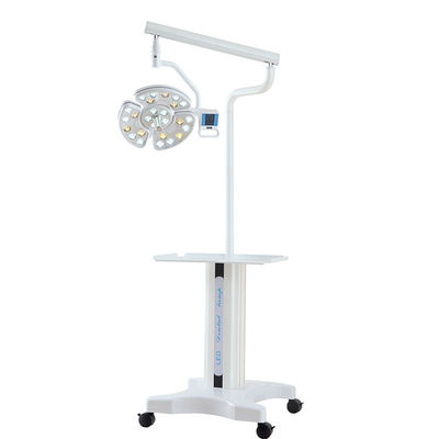 Ospedale veterinario senza ombra LED soffitto montato lampada per impianti dentali