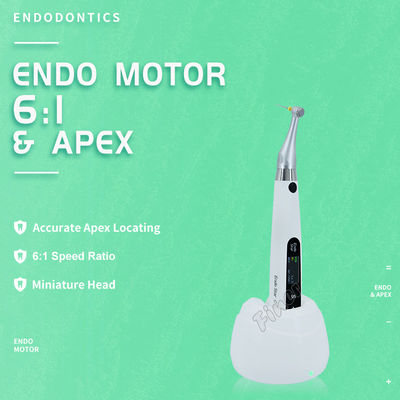 Endomotore 6: 1 con motore elettrico Apex per il trattamento endometrico Endomotore dentale
