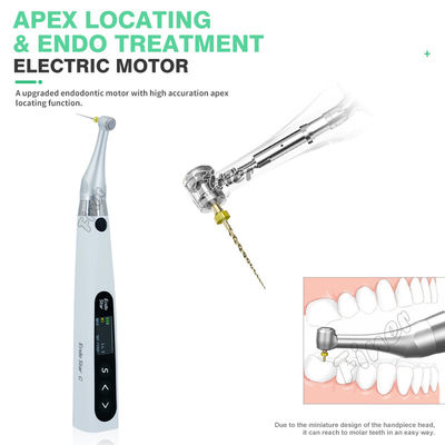 Endomotore 6: 1 con motore elettrico Apex per il trattamento endometrico Endomotore dentale
