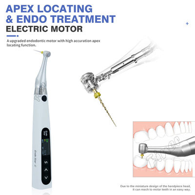 6Localizatore di apice endomotorio senza fili per il trattamento endodontico del canale radicolare