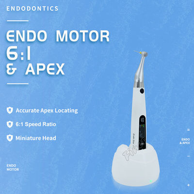 6Localizatore di apice endomotorio senza fili per il trattamento endodontico del canale radicolare